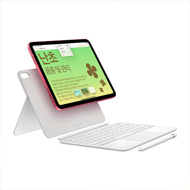 아이패드 10세대 Wi-Fi+Cellular 256GB - 실버 [MQ6T3KH/A]
