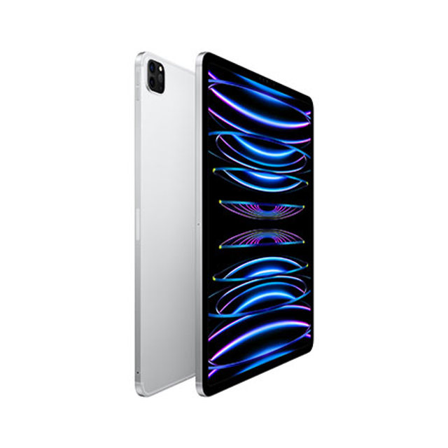 아이패드 프로 M2 12.9 6세대 Wi-Fi+Cellular 256GB - 실버 [MP213KH/A]