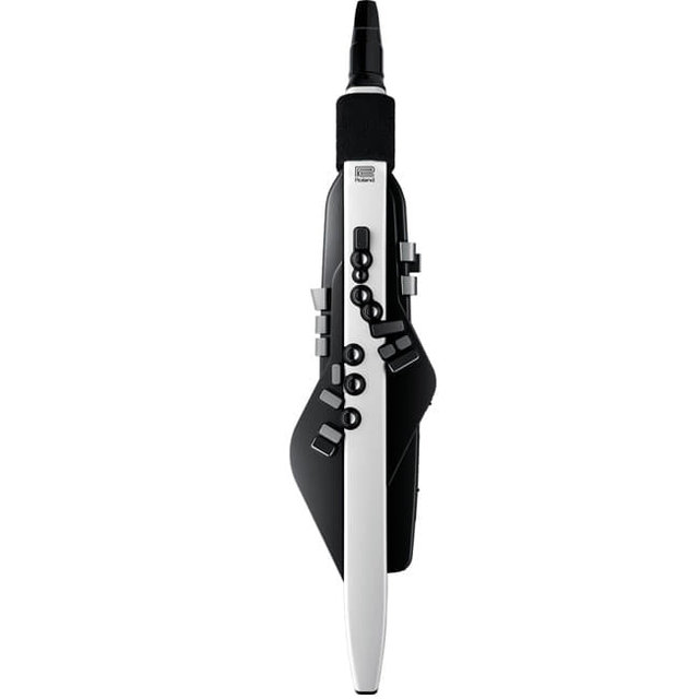 코스모스악기 ROLAND AE-20 (Aerophone)  에어로폰 전자색소폰