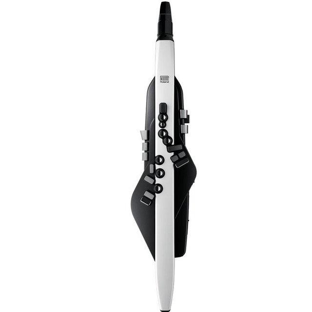 코스모스악기 ROLAND AE-20 (Aerophone)  에어로폰 전자색소폰