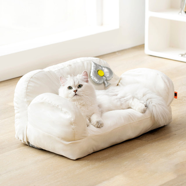 [해외직구] 미스터댕댕 고양이 쿠션 두부 침대 쇼파 강아지 포토존