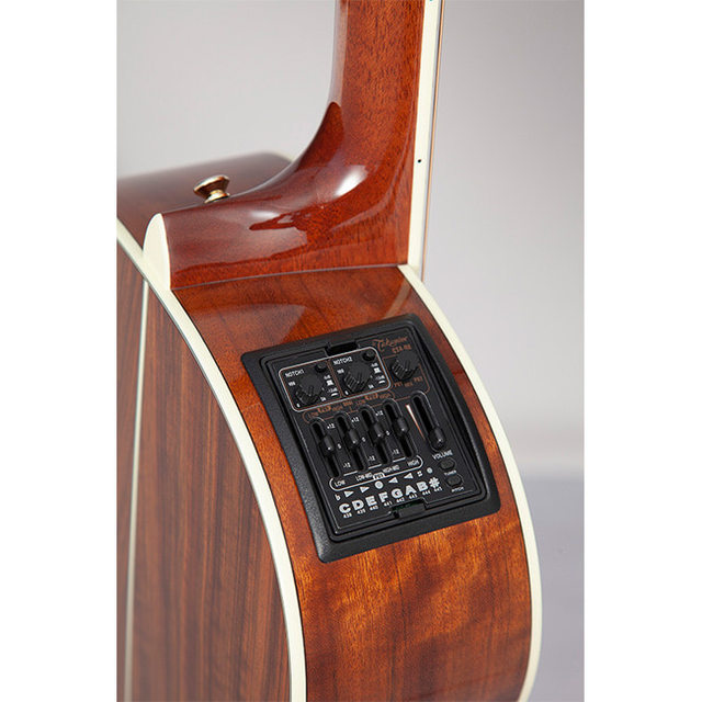 코스모스악기 TAKAMINE LTD2020 ＂PEACE＂
