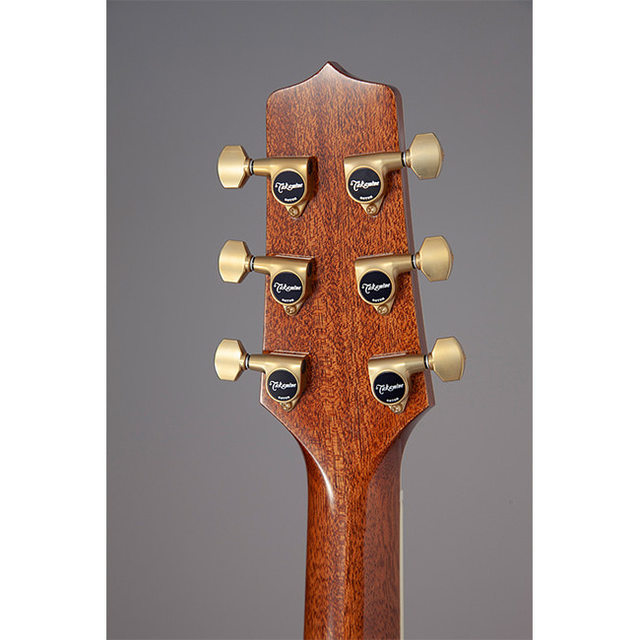 코스모스악기 TAKAMINE LTD2020 ＂PEACE＂