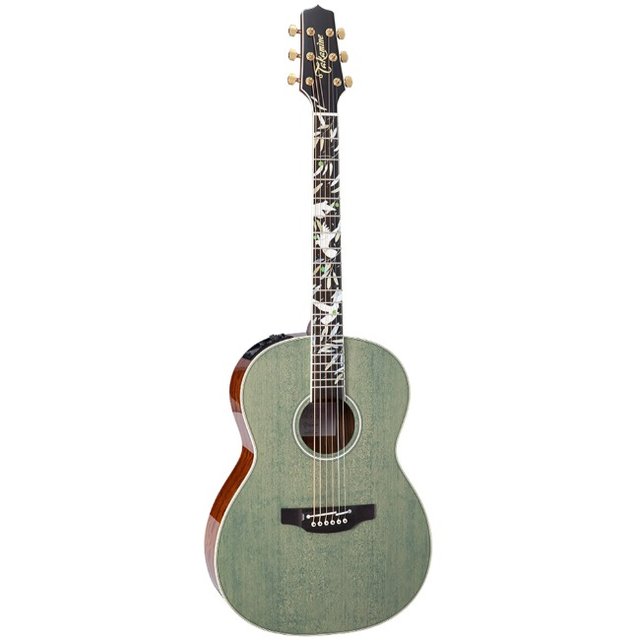 코스모스악기 TAKAMINE LTD2020 ＂PEACE＂