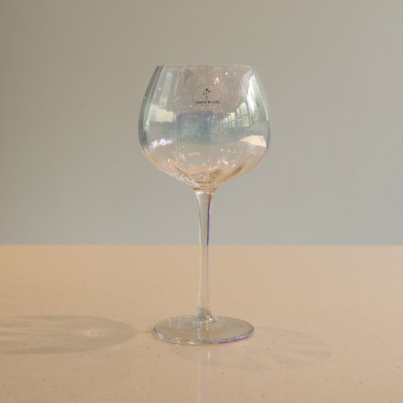 티니블랑 샤인 글램 와인잔 460ml