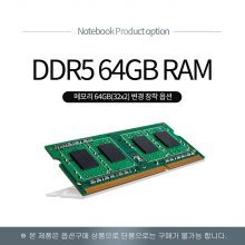 GTS63 D5-64GB(32GBx2) 변경장착