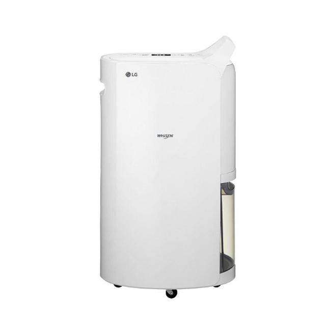 휘센 제습기 화이트 DQ132PWXC 13L