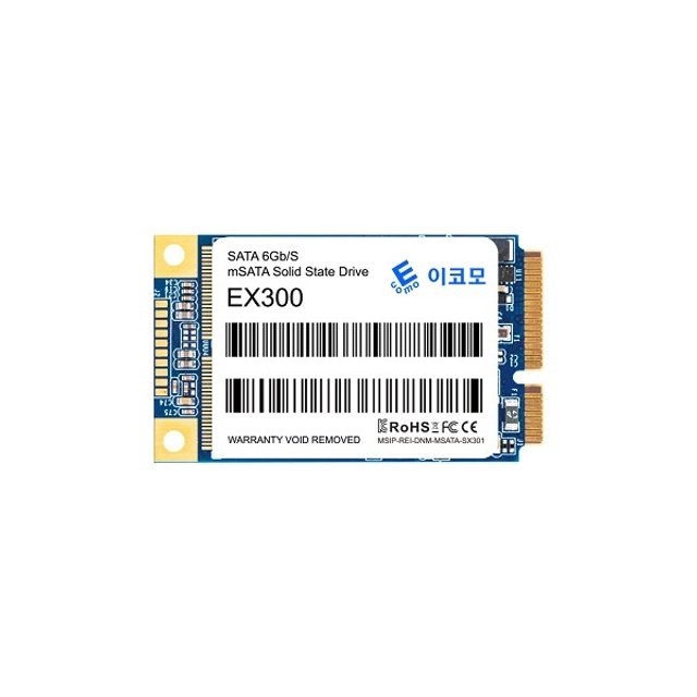 디지탈그리고나 이코모 EX300 mSATA SSD (1TB)