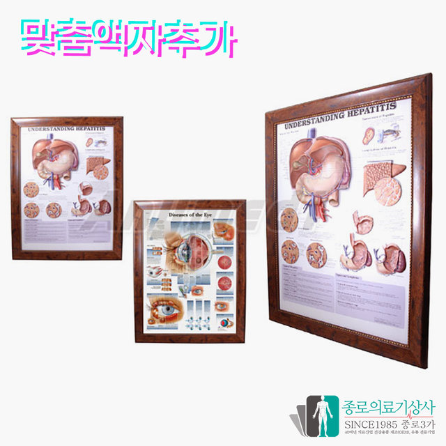 인체해부도 3D차트 병원액자 9863 비뇨기과 남성 전립선 54X74cm_액자추가