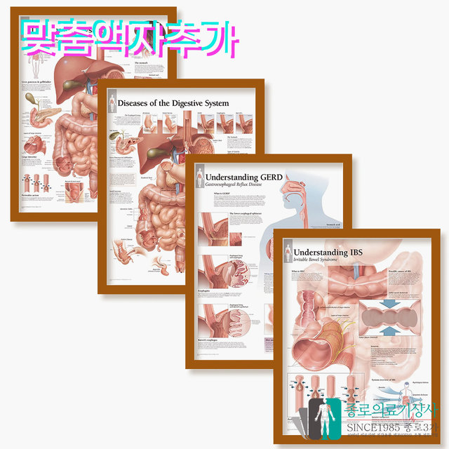 3B Scientific 두개골 인체해부차트 VR1131 The Human Skull 두개골구조 병원액자_액자추가