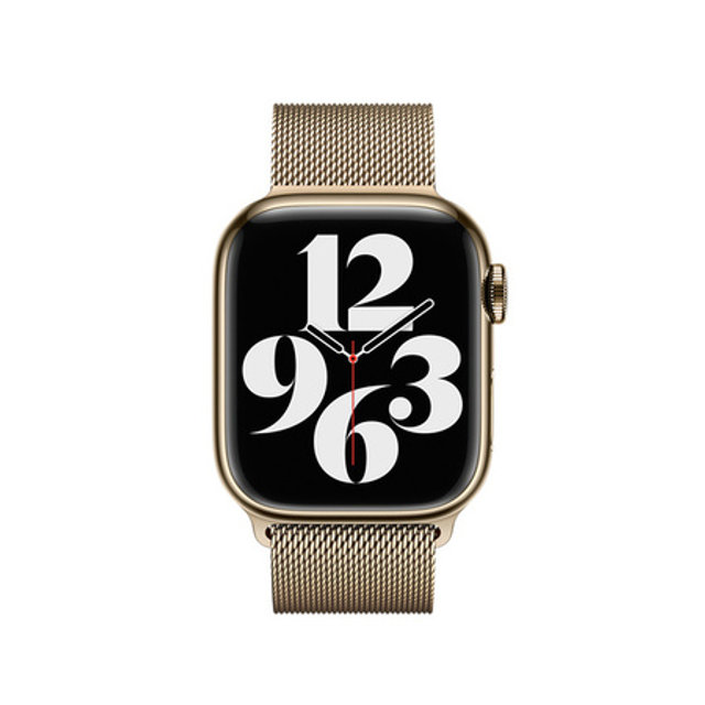 애플워치 밀레니즈 루프 41mm (골드, One-Size)