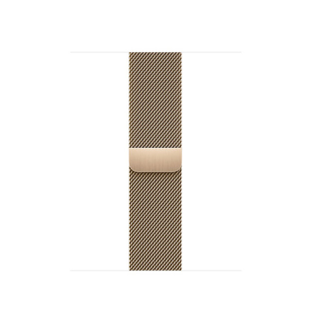 애플워치 밀레니즈 루프 41mm (골드, One-Size)