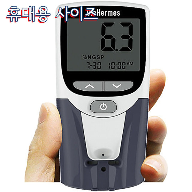 BioHermes 당화혈색소측정기 HbA1c 글리코헤모글로빈측정 A1cEZ(스트립 1박스 포함)_스트립추가