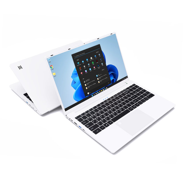 스톰화이트(16G/1TB) 노트북 39.624cm(15.6인치) 13세대 I5 윈도우11프로 리커버리모드 WIFI6 지문인식 고사양 