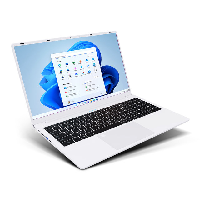스톰화이트(16G/1TB) 노트북 39.624cm(15.6인치) 13세대 I5 윈도우11프로 리커버리모드 WIFI6 지문인식 고사양 