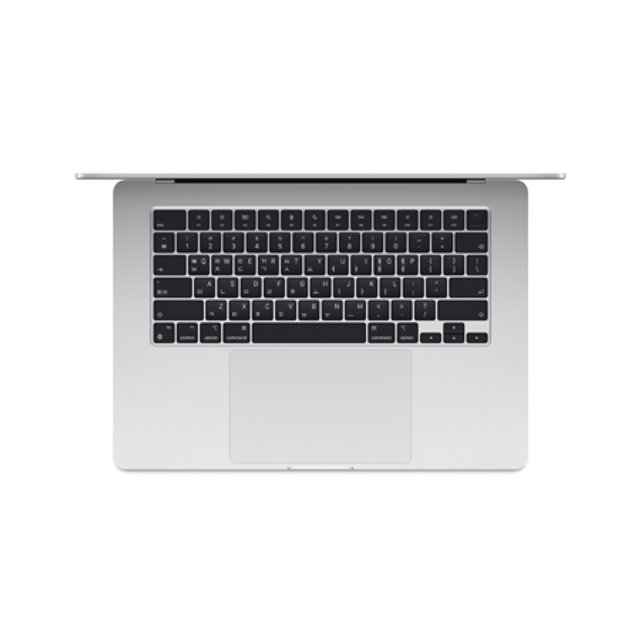 맥북에어 15 M3, 8코어 CPU, 10코어 GPU, 8GB RAM, 256GB SSD - 실버 [MRYP3KH/A]