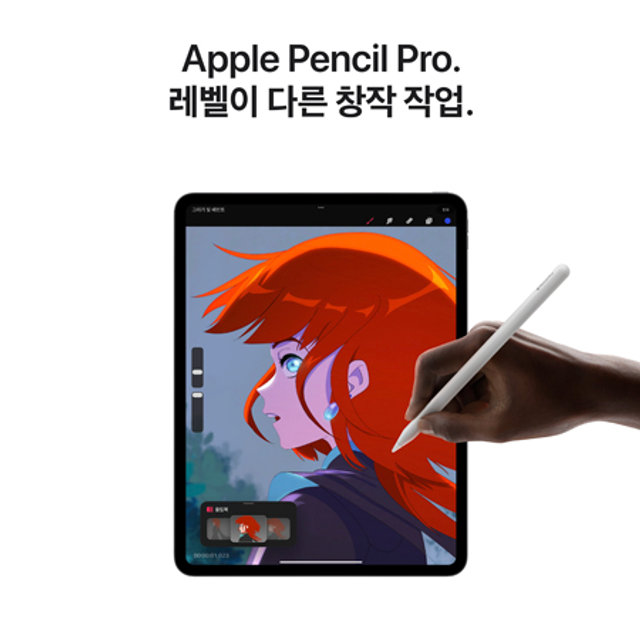 아이패드 프로 13 M4 Wi-Fi 2TB 스탠다드 글래스 - 실버 [MVX93KH/A]