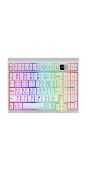 지데빌 G810 유무선기계식키보드 화이트-적축