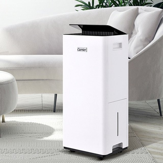 캐리어 가정용 제습기 2024년형 20L 원룸 화장실 옷장 습기제거 에너지소비효율 1등급