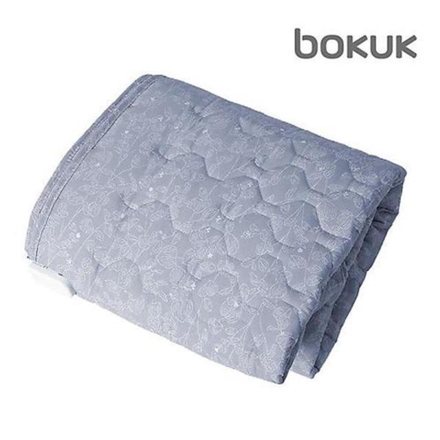 보국 에어셀 전기요 바이올렛 가든(더블) BKB-1621D (BKB-1621)