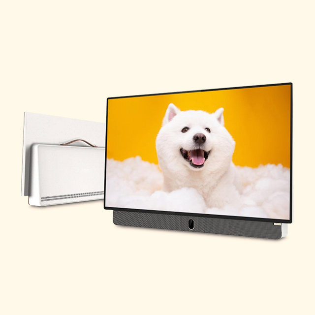 실내 실외 캠핑 올인원 무선 포터블TV 이스트라 팔로미 61cm 스마트TV(+무빙스탠드C타입/택배)