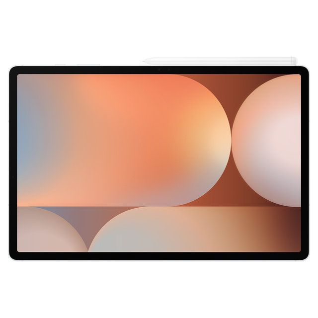 갤럭시탭 S10+ WIFI 512GB 실버 - [SM-X820NZSEKOO]