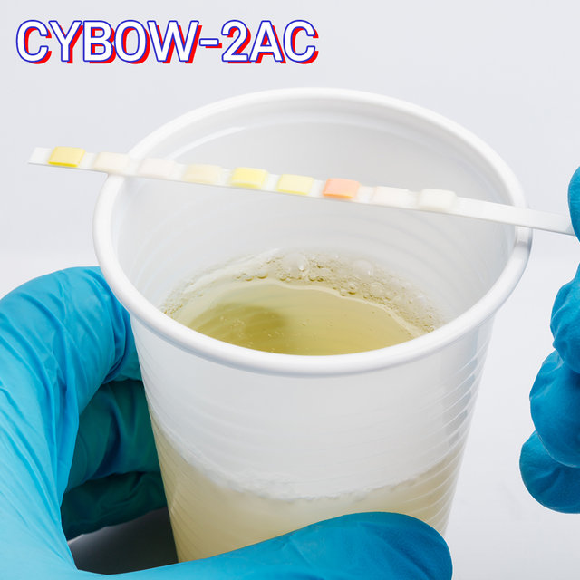 소변분석시험지 CYBOW-2AC 미세단백뇨 소변검사스틱 50개입 마이크로알부민 크레아티닌 검사