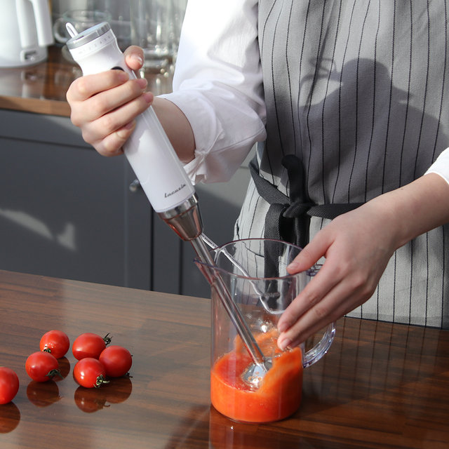 S라쿠진 시그니처 핸드블랜더 