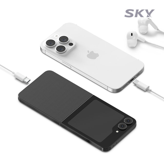 [1+1] 스카이 핏 레벨 인 C타입 커널형 유선 이어폰