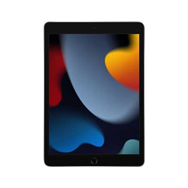 애플 iPad 9세대 셀룰러 256GB 그레이 MK4E3KH/A