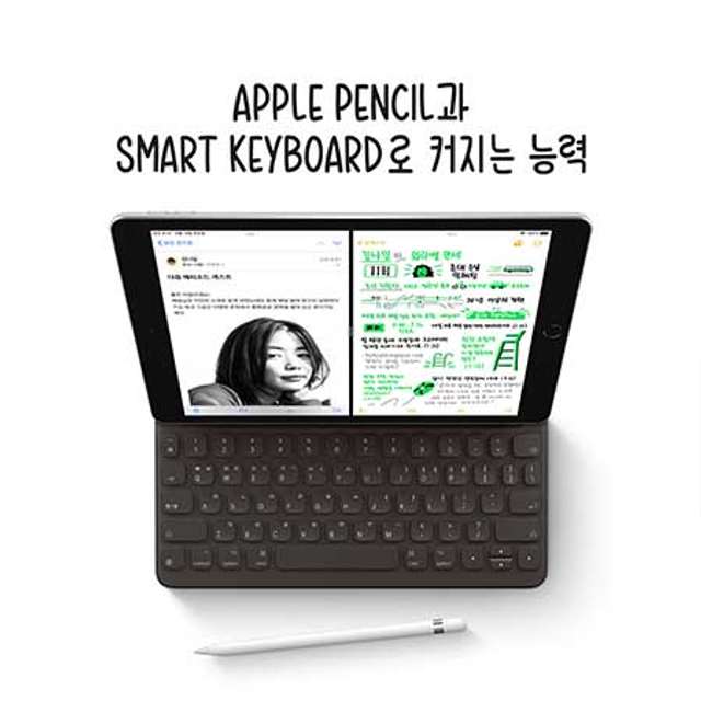 애플 iPad 9세대 셀룰러 256GB 그레이 MK4E3KH/A