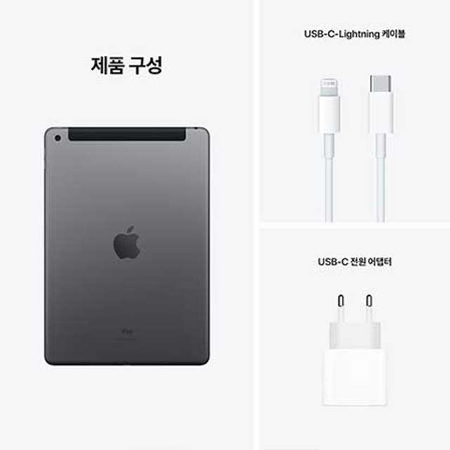애플 iPad 9세대 셀룰러 256GB 그레이 MK4E3KH/A