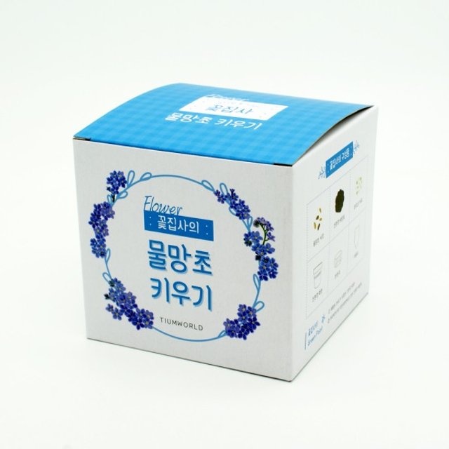 꽃집사 물망초