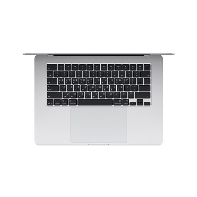 맥북에어 15 M4, 10코어 CPU, 10코어 GPU, 24GB RAM, 512GB SSD - 실버 [MC6J4KH/A]
