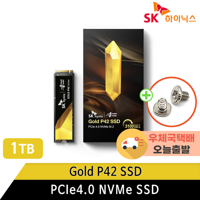 SK하이닉스 GOLD P42 NVMe SSD PCIe4.0 1TB