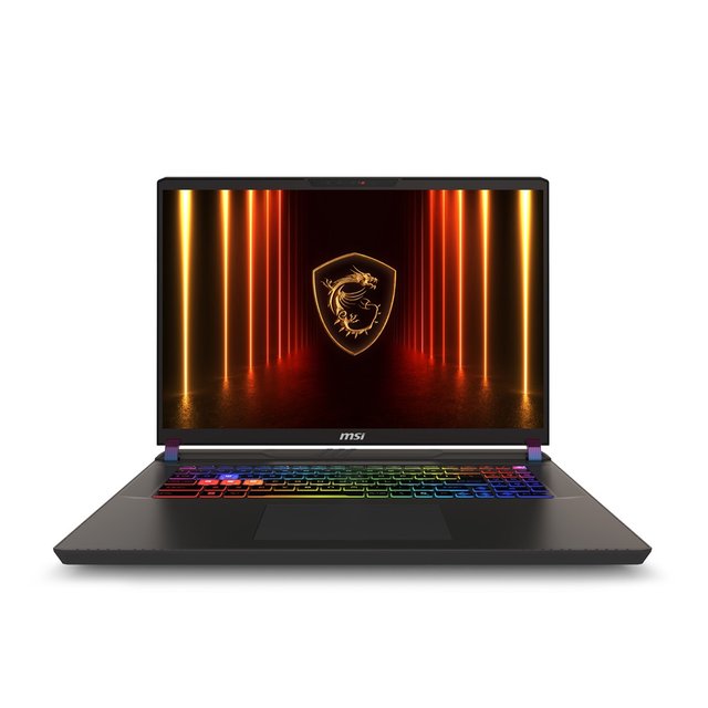 MSI 벡터 17 HX AI A2XWHG-U9 QHD+ WIN11