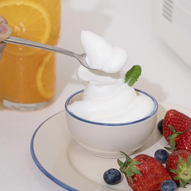 [비밀특가] 드웰러 아이스크림&슬러시 메이커 아이스크림 쉐이크 스무디 기계