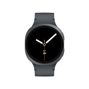 [BT]갤럭시 워치8 라지 [다크그레이/44mm][SM-L330NDAAKOO]