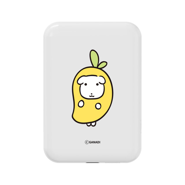 가나디 고속 맥세이프 무선 충전 보조배터리 5000mAh