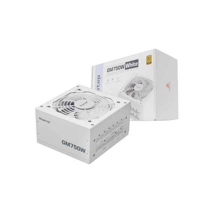 Segotep Segotep GM750W 80PLUS GOLD 풀모듈러 ATX 3.1 PCIE5.1 화이트 -파워서플