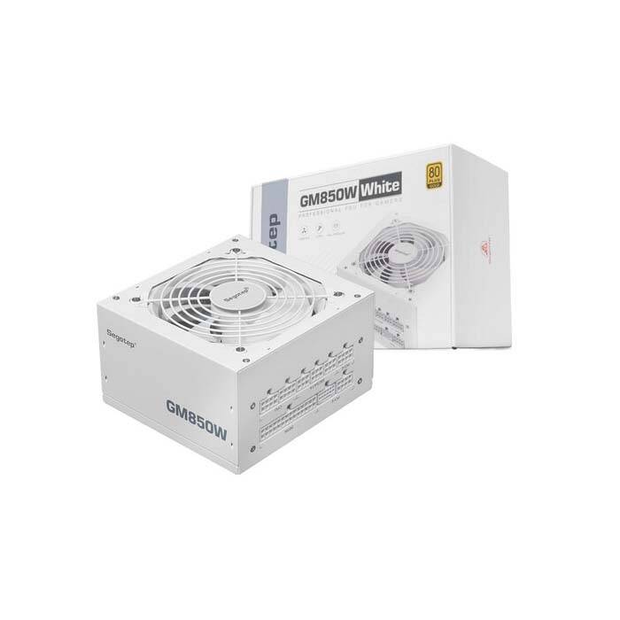 Segotep Segotep GM850W 80PLUS GOLD 풀모듈러 ATX 3.1 PCIE5.1 화이트 -파워