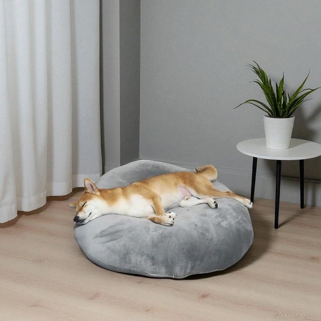 펫코노미 반려동물 찹쌀모찌 필로우 쿠션 방석