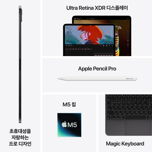 아이패드 프로 11 M5 Wi‑Fi + Cellular 256GB 스탠다드 글래스 - 스페이스 블랙 [ME2N4KH/A]