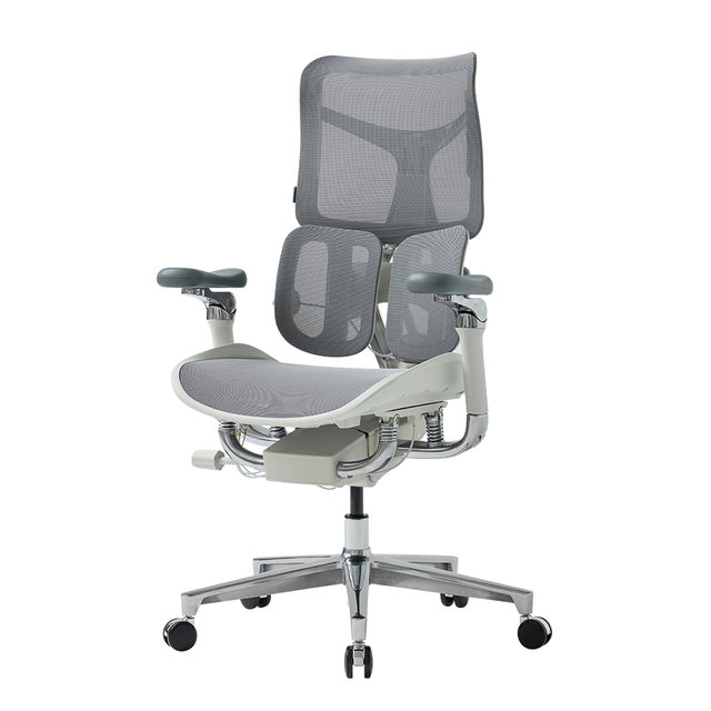 에르고백 D300 프리미엄 하이엔드 풀메쉬 체어(시공)