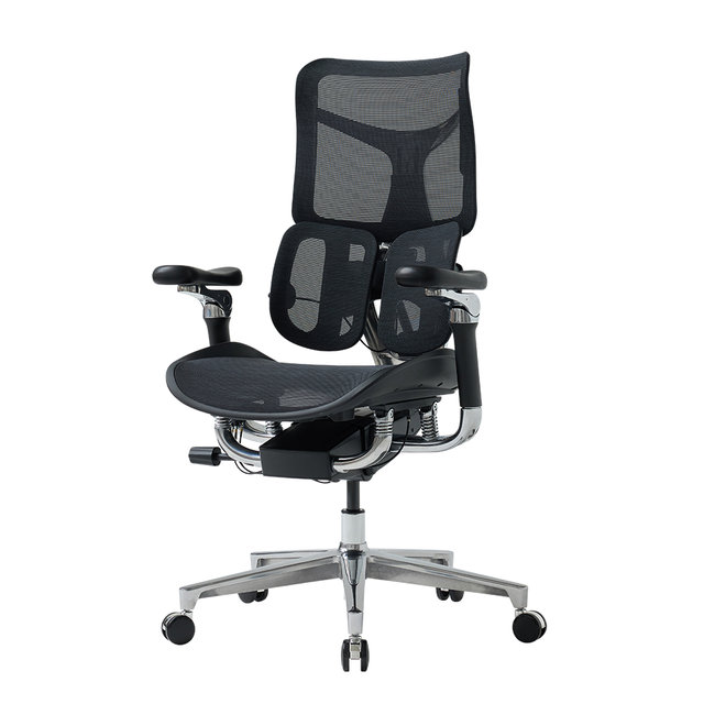 에르고백 D300 프리미엄 하이엔드 풀메쉬 체어(시공)