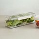 HICKIES 밀프랩 투명 물빠짐 채반 식단관리용기 냉장고 야채 과일 신선보관 1500ml