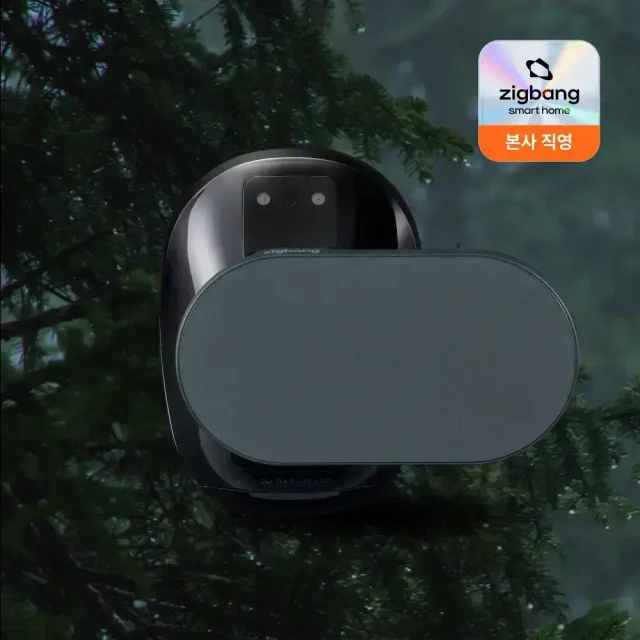 직방 헤이븐 AI 얼굴인식 자동열림 도어락 Wifi 모바일키 스마트 IoT 디지털 도어록 ZDX-D60 (자가설치)