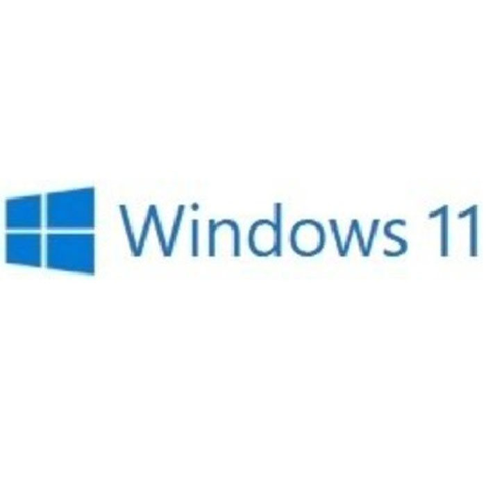 FORYOUCOM 단독구매불가 Windows 11 Home COEM DSP 한글/설치CD포함