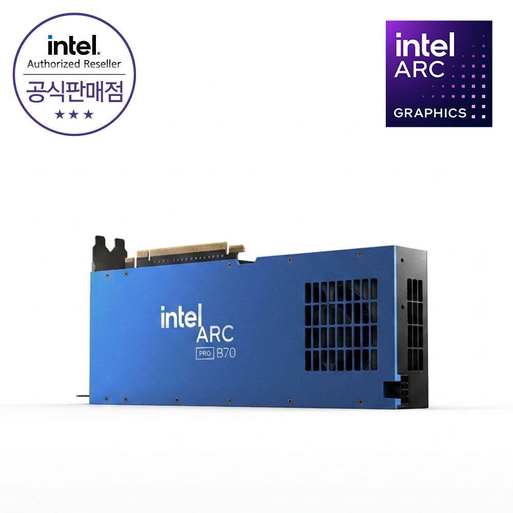 인텔 인텔 아크 프로 Arc Pro B70 D6 32GB 그래픽카드 CY