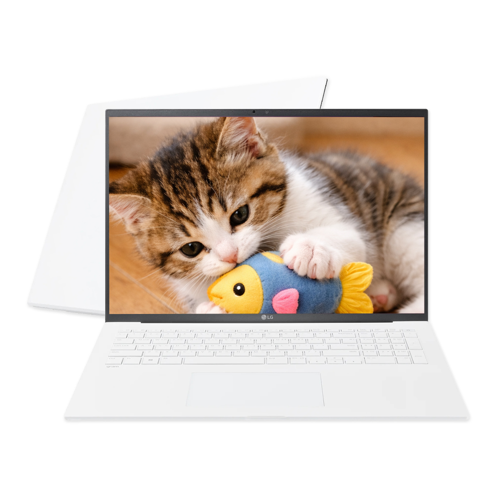 LG전자 엘지전자 LG전자 그램17 17ZD90RU-GX54K 인텔i5 1334U 16GB 256G 17인치 대화면